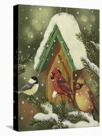 Snowy Birdhouse-William Vanderdasson-Premier Image Canvas