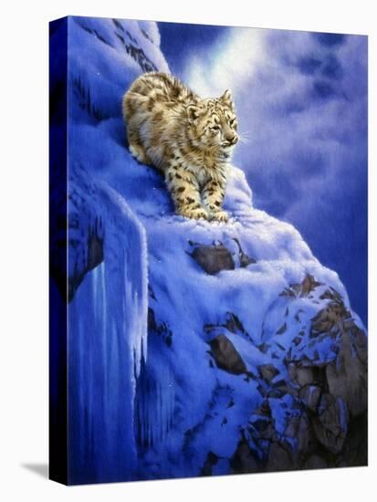 Snowy Cliff-Joh Naito-Premier Image Canvas