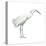 Snowy Egret (Leucophoyx Thula), Birds-Encyclopaedia Britannica-Stretched Canvas