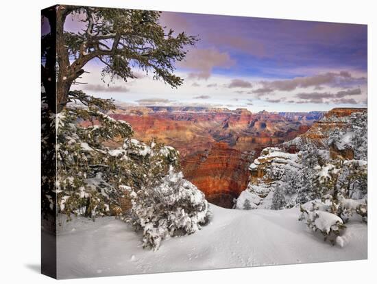 Snowy Grand Canyon II-David Drost-Premier Image Canvas