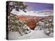 Snowy Grand Canyon II-David Drost-Premier Image Canvas