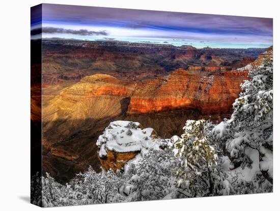 Snowy Grand Canyon IV-David Drost-Premier Image Canvas