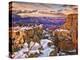 Snowy Grand Canyon V-David Drost-Premier Image Canvas