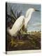 Snowy Heron or White Egret / Snowy Egret-John James Audubon-Premier Image Canvas