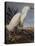 Snowy Heron Or White Egret-John James Audubon-Stretched Canvas