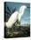 Snowy Heron-John James Audubon-Premier Image Canvas