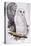 Snowy Owl, 1832-1837-Edward Lear-Premier Image Canvas