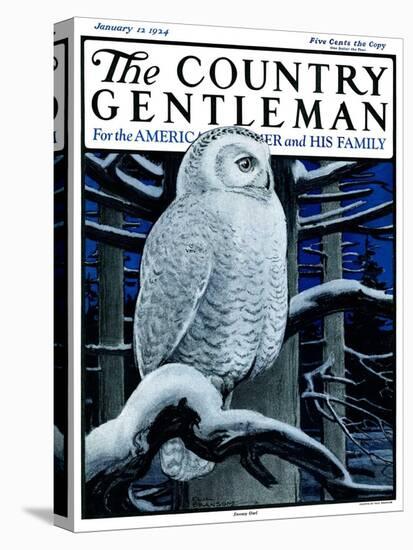 "Snowy Owl in Forest at Night," Country Gentleman Cover, January 12, 1924-Paul Bransom-Premier Image Canvas