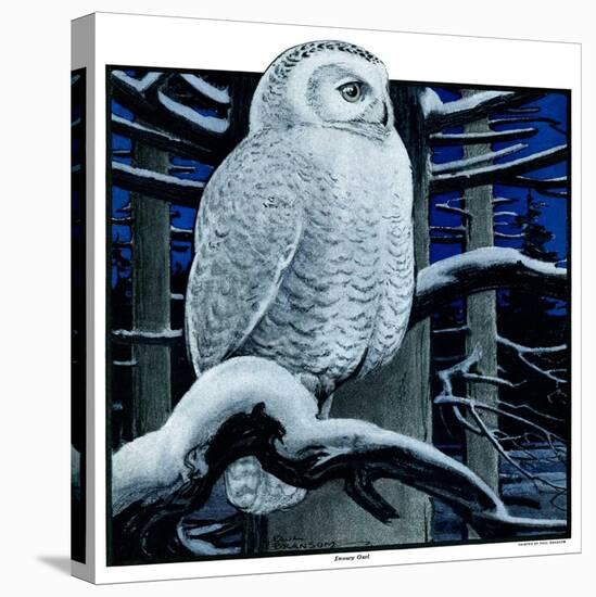 "Snowy Owl in Forest at Night,"January 12, 1924-Paul Bransom-Premier Image Canvas