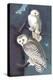 Snowy Owl-John James Audubon-Stretched Canvas