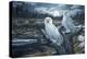 Snowy Owls-Jeff Tift-Premier Image Canvas