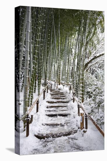 Snowy path in bamboo forest, Kodai-ji temple, Kyoto, Japan, Asia-Damien Douxchamps-Premier Image Canvas