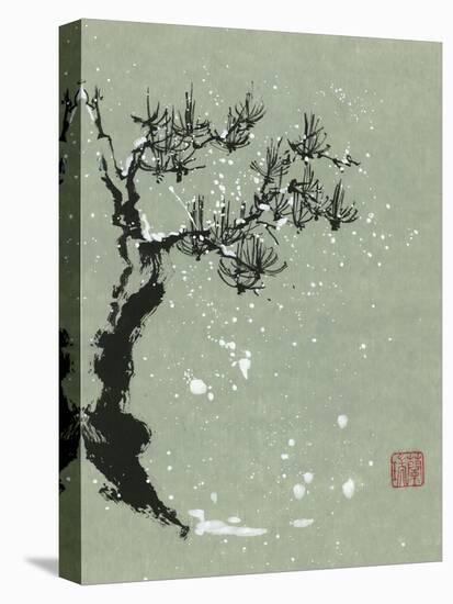 Snowy Pine I-Nan Rae-Stretched Canvas