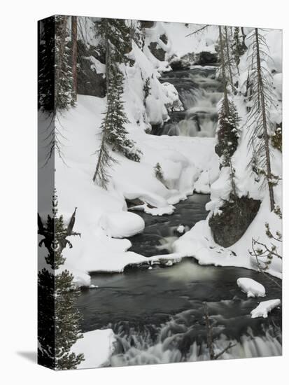Snowy Stream in Yellowstone National Park, UNESCO World Heritage Site, Wyoming, United States of Am-Kimberly Walker-Premier Image Canvas