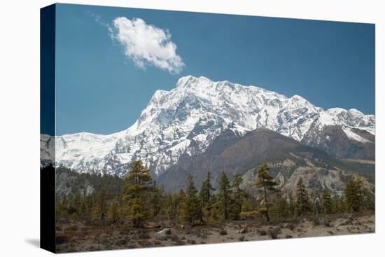 Snowy Tibetan Mountains-Vakhrushev Pavel-Premier Image Canvas