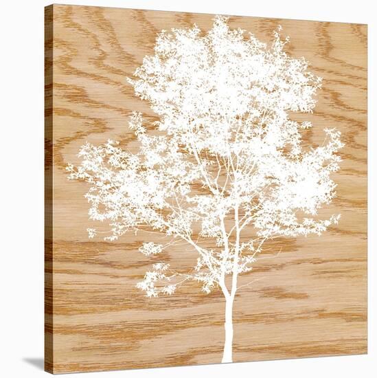 Snowy Tree-Erin Clark-Stretched Canvas