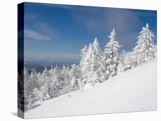 Snowy Trees on the Slopes of Mount Cardigan, Canaan, New Hampshire, USA-Jerry & Marcy Monkman-Premier Image Canvas