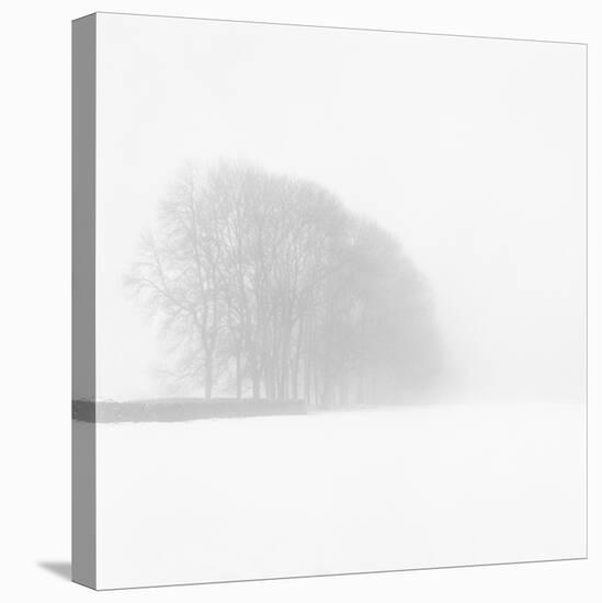 Snowy Trees-Doug Chinnery-Premier Image Canvas