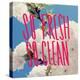 So Fresh So Clean-Leah Flores-Premier Image Canvas