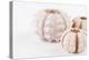 So Pure Collection - Beautiful White Sea Urchin shells II-Philippe Hugonnard-Premier Image Canvas