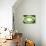 So Pure Collection - Green Agate Look-Philippe Hugonnard-Premier Image Canvas displayed on a wall