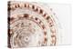 So Pure Collection - Natural Swirl Sundial Sea Shell II-Philippe Hugonnard-Premier Image Canvas