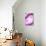 So Pure Collection - Pink Agate Heart-Philippe Hugonnard-Premier Image Canvas displayed on a wall