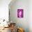 So Pure Collection - Pink Agate Slice-Philippe Hugonnard-Premier Image Canvas displayed on a wall