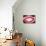 So Pure Collection - Red Agate Look-Philippe Hugonnard-Premier Image Canvas displayed on a wall