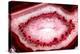 So Pure Collection - Red Agate Look-Philippe Hugonnard-Premier Image Canvas