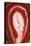 So Pure Collection - Red Agate Slice-Philippe Hugonnard-Premier Image Canvas