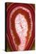 So Pure Collection - Red Agate Slice-Philippe Hugonnard-Premier Image Canvas