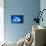 So Pure Collection - Slice of Blue Agate-Philippe Hugonnard-Premier Image Canvas displayed on a wall