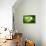 So Pure Collection - Slice of Green Agate-Philippe Hugonnard-Premier Image Canvas displayed on a wall