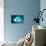 So Pure Collection - Slice of Turquoise Agate-Philippe Hugonnard-Premier Image Canvas displayed on a wall