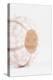 So Pure Collection - White Sea Urchin shell II-Philippe Hugonnard-Premier Image Canvas