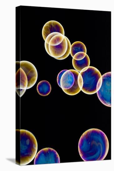 Soap Bubbles-Lawrence Lawry-Premier Image Canvas