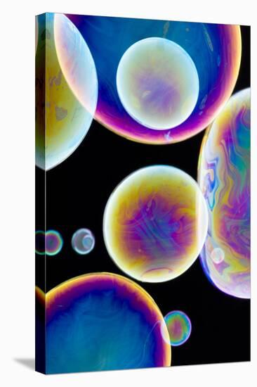 Soap Bubbles-Lawrence Lawry-Premier Image Canvas