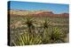 Soaptree yucca and Red Rock Canyon National Conservation Area, Nevada, USA.-Michel Hersen-Premier Image Canvas