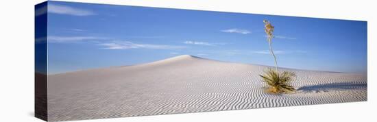 Soaptree Yucca, White Sands National Monument, New Mexico, USA-null-Premier Image Canvas