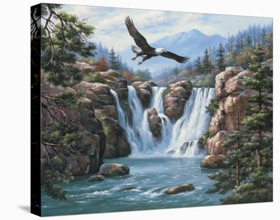 Soaring Eagle-Sung Kim-Stretched Canvas