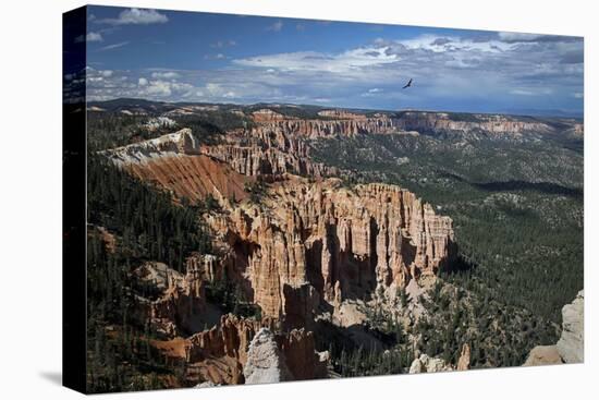 Soaring over Bryce-J.D. Mcfarlan-Premier Image Canvas