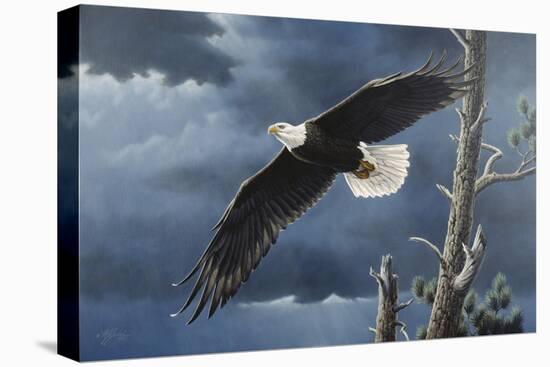 Soaring Wings-Wilhelm Goebel-Premier Image Canvas