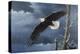 Soaring Wings-Wilhelm Goebel-Premier Image Canvas