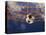 Soccer Ball Going Into Goal Net-Randy Faris-Premier Image Canvas