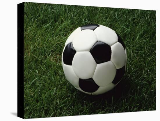 Soccer Ball in Grass-null-Premier Image Canvas