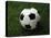 Soccer Ball in Grass-null-Premier Image Canvas