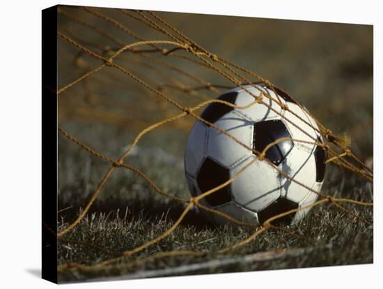 Soccer Ball in Net-null-Premier Image Canvas