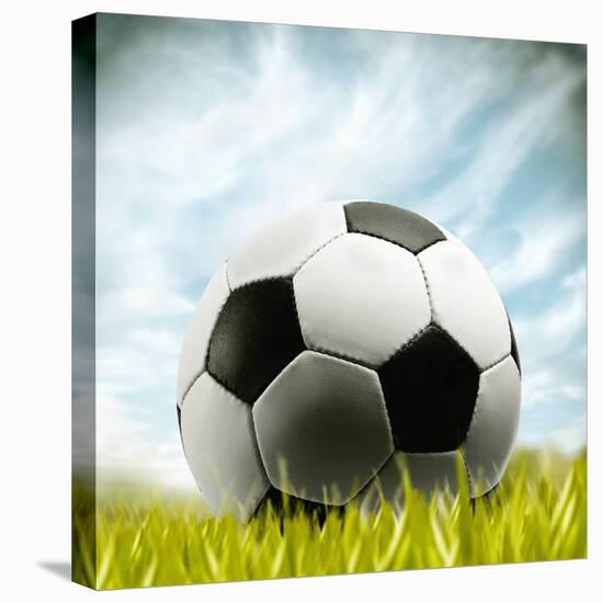Soccer Ball Resting on Grass-null-Premier Image Canvas
