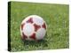 Soccer Ball-null-Premier Image Canvas